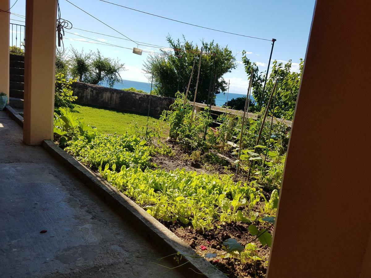 ☼Sunset Apartment Piran Exterior foto